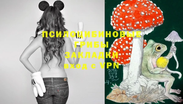 кристаллы Новодвинск