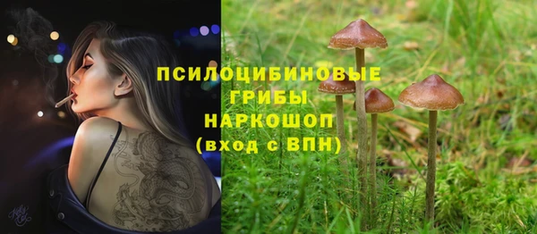 спайс Алексеевка
