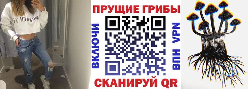 хочу наркоту  Анадырь  Галлюциногенные грибы GOLDEN TEACHER 